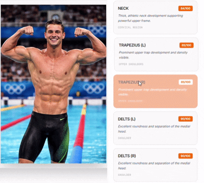 Muscle Overlays