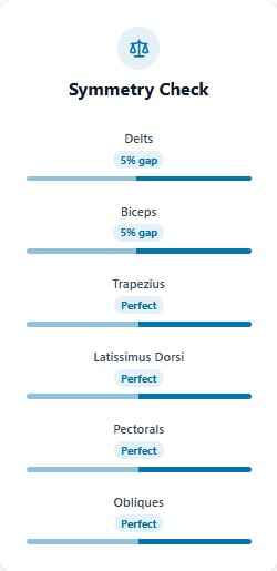 Muscles Symmetry Analysis